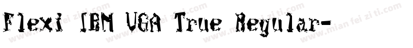 Flexi IBM VGA True Regular字体转换